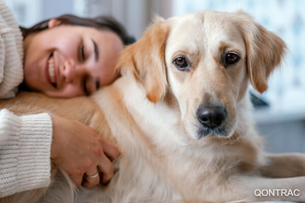 Seguro Para Animais Domésticos